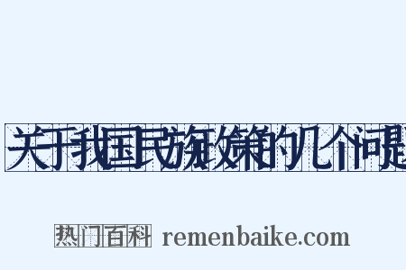 关于我国民族政策的几个问题是什么意思的图片